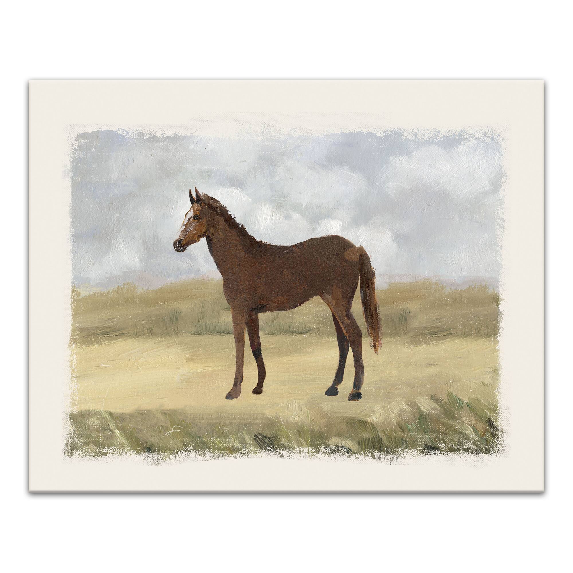 Vintage Horse 20" x 16" Canvas Wall Art